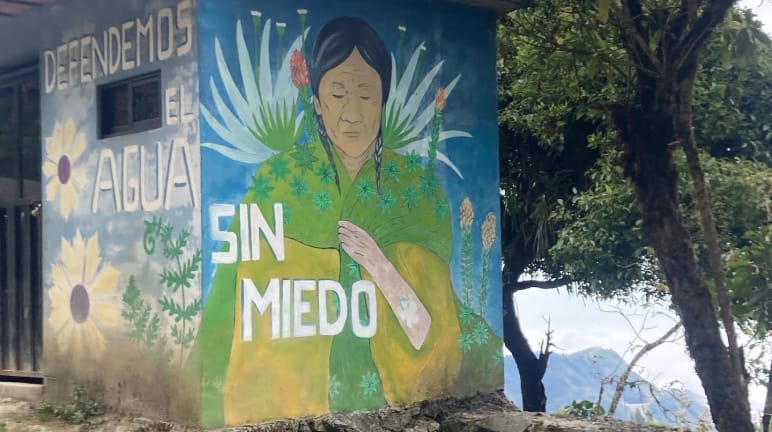 Pintura colorida com plantas e uma mulher indígena sobre o muro de uma pequena edificação, com a inscrição: ""Defendemos a água sem medo"