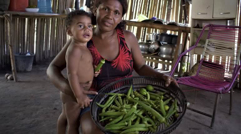 Com isso, elas podem voltar às suas atividades agrícolas, cultivando, por exemplo, quiabo Família feliz com a colheira de quiabo