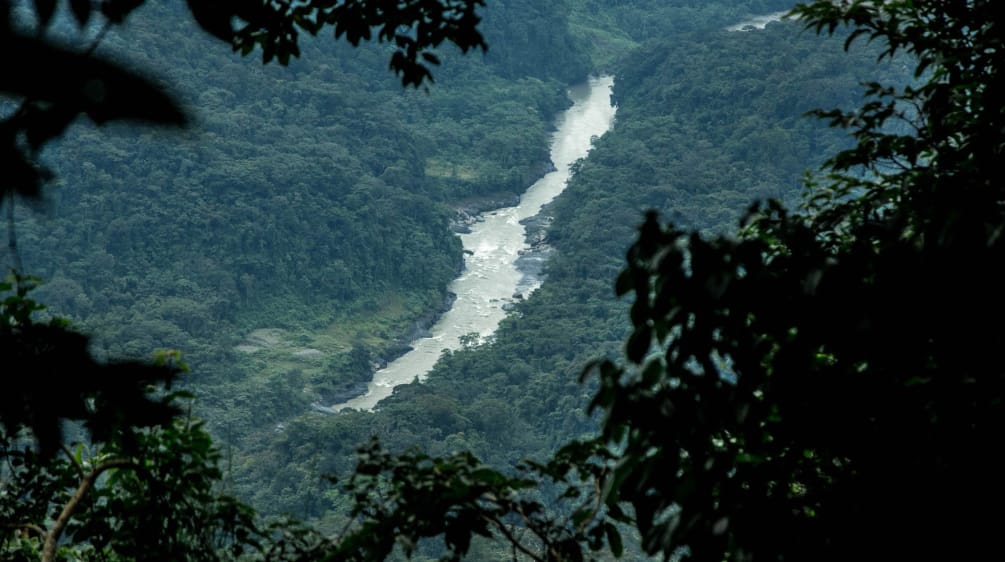 Vista da vegetação a partir da perspectiva do leito de um rio em um vale na floresta tropical