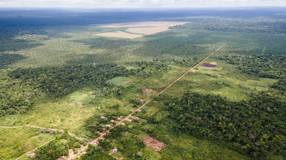 Vista aérea de um pequeno município ao longo de uma pista reta, e na parte de trás, as monoculturas