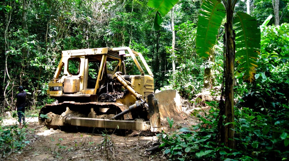 Bulldozer no Parque Nacional de Cross River, Nigéria