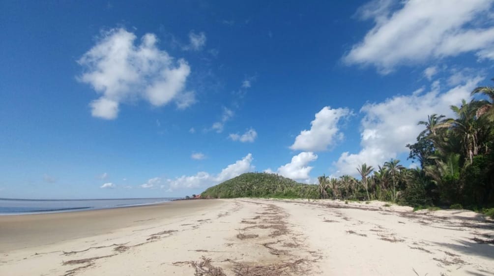 Praia tropical com palmeiras na Ilha do Cajual