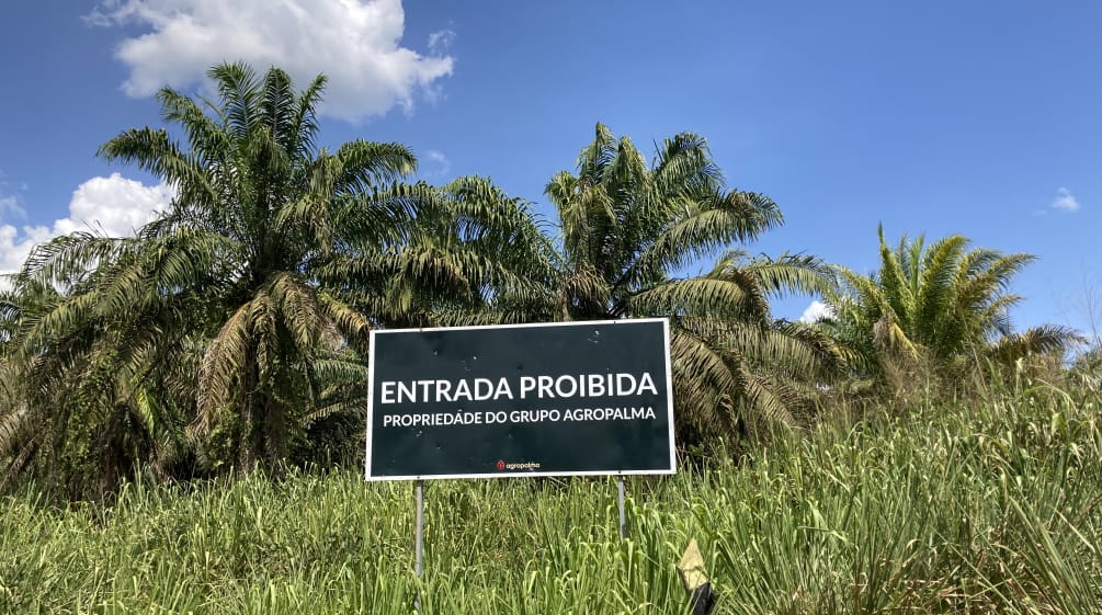 Placa do conglomerado de dendê Agropalma, às bordas de uma monocultura de óleo de palma