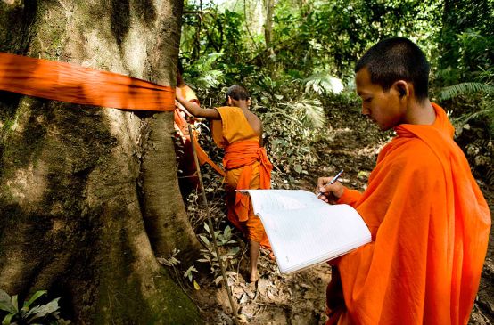 Um monge acaba de marcar um tronco de uma árvore com um lenço cor-de-laranja e registra a posição dele num mapa