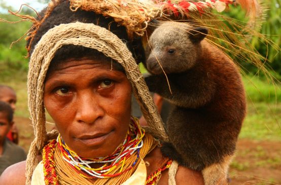 Um bebê canguru-arborícola no ombro de uma mulher em Papua