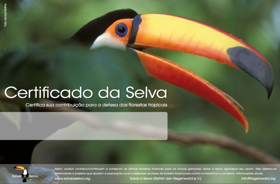 Certificado com imagem de tucano