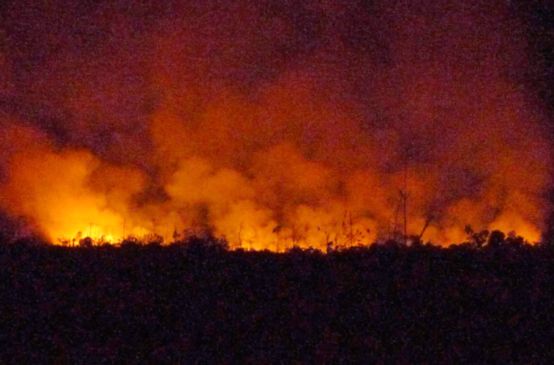 O céu noturno em cima da floresta tropical é iluminado de amarelo-vermelho pelos incêndios
