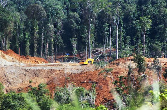 Uma escavadeira em ação na floresta tropical já destruída em parte