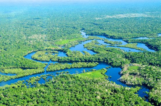 Vista aérea da floresta amazônica