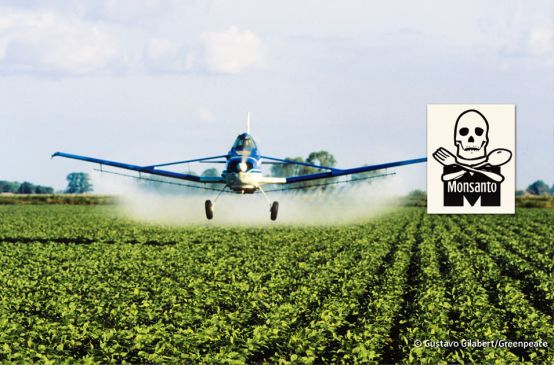 Um avião atomiza pesticidas numa plantação de soja