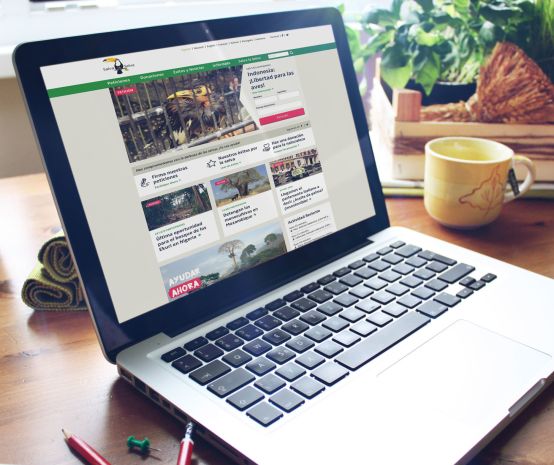 Mockup Website Relaunch