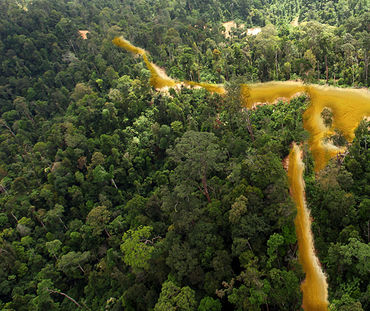 Vista aérea sobre floresta tropical na Guiana francesa