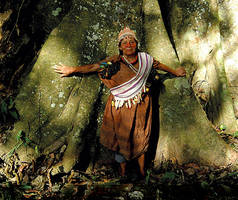Mulher indígena, tentando proteger uma árvore na floresta tropical