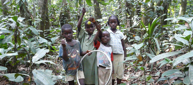 Quatro crianças jogando na floresta tropical
