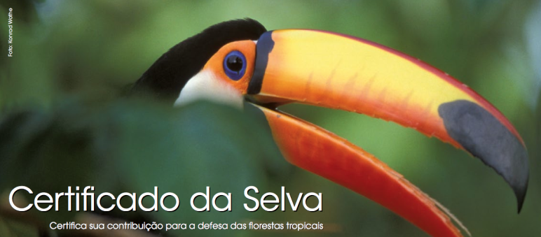 Escolha um de nossos cinco motivos para seu certificado individual Certificado com imagem de tucano