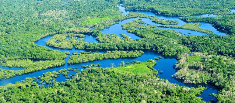 Vista aérea da floresta amazônica