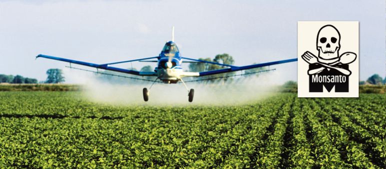 Avião espalha pesticidas Um avião atomiza pesticidas numa plantação de soja