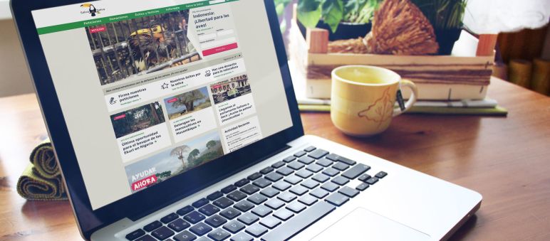 A partir de agora, a nossa nova página web está on-line! Mockup Website Relaunch