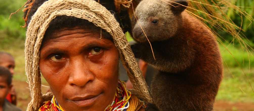 Um bebê canguru-arborícola no ombro de uma mulher em Papua