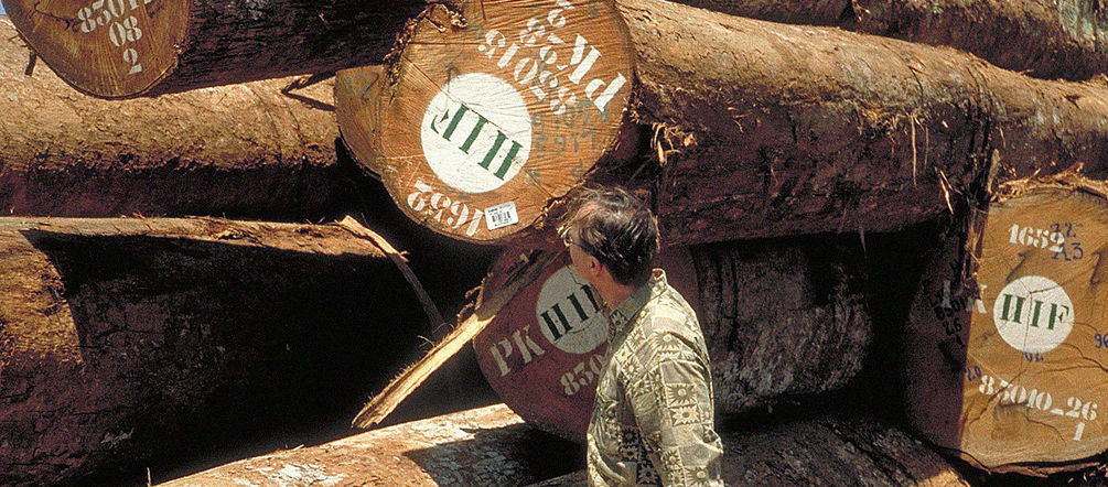 Reinhard Behrend, presidente de Salve a Floresta, examina troncos abatidos da floresta tropical na África. Foto: Karl Ammann Reinhard Behrend, presidente da Salve a Selva, em frente de troncos de madeira tropical