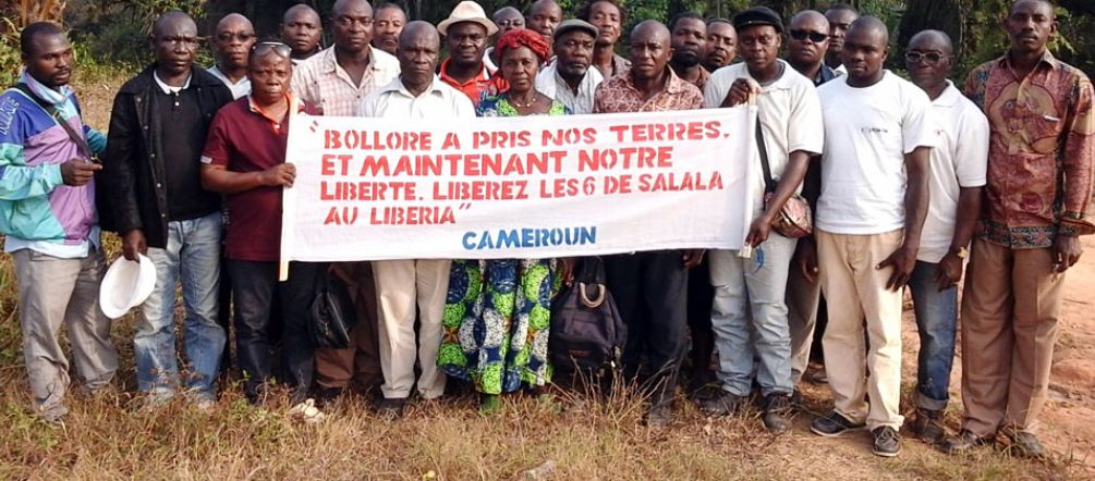Protesto dos agricultores: “A Bolloré tomou a nossa terra. E agora a nossa liberdade.“ No meio de uma plantação da empresa Socfin nos Camarões, um grupo de agricultores está manifestando