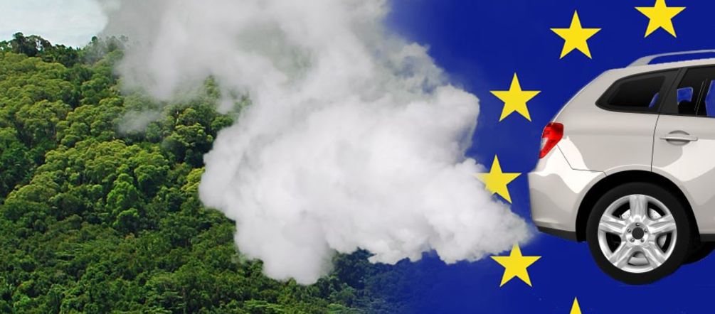 O Parlamento Europeu está dicutindo sobre a acrescentação de óleo de palma ao combustível Fotomontagem: de um escape de carro sai fumaça que envolve a floresta tropical