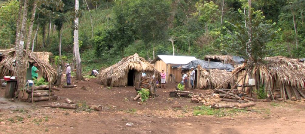 Comunidade expulsa no distrito de Petén Um campo de refugiados na floresta