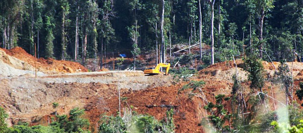 As escavadeiras ainda podem ser detidos na reserva natural Uma escavadeira em ação na floresta tropical já destruída em parte