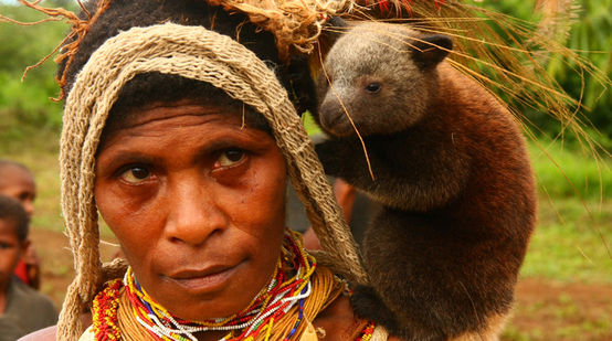 Um bebê canguru-arborícola no ombro de uma mulher em Papua