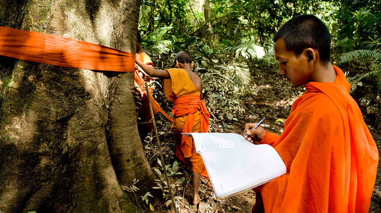 Um monge acaba de marcar um tronco de uma árvore com um lenço cor-de-laranja e registra a posição dele num mapa