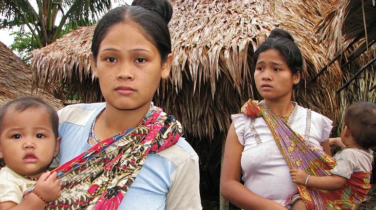 “O futuro das nossas crianças é a floresta. As plantações de dendezeiros nos tornam pobres.” Duas mulheres filipinas lutam pelo futuro delas