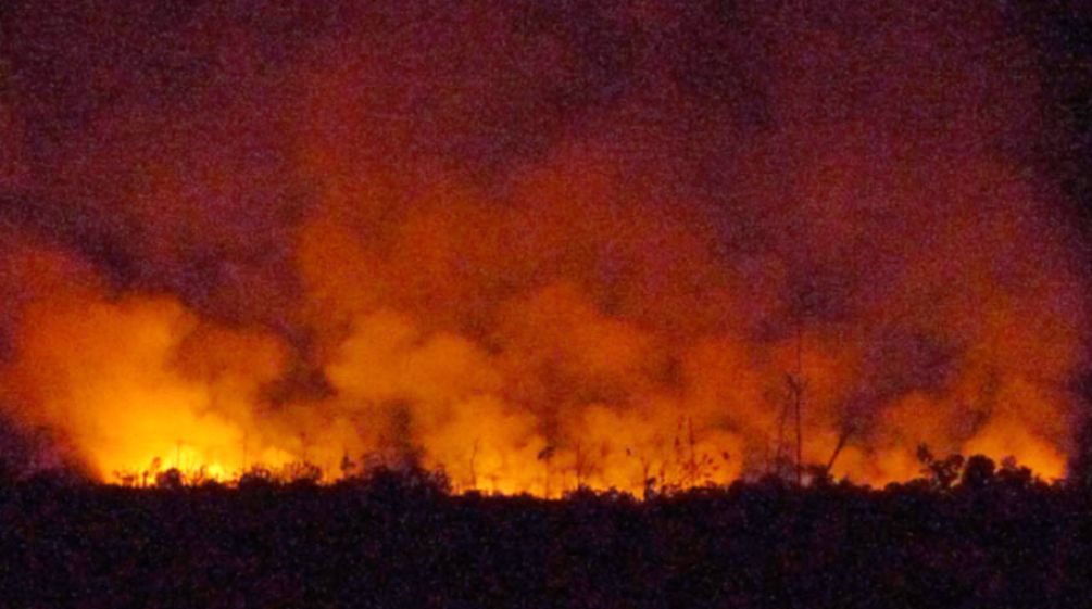 O céu noturno em cima da floresta tropical é iluminado de amarelo-vermelho pelos incêndios