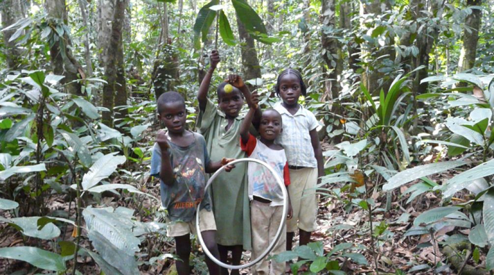 Quatro crianças jogando na floresta tropical
