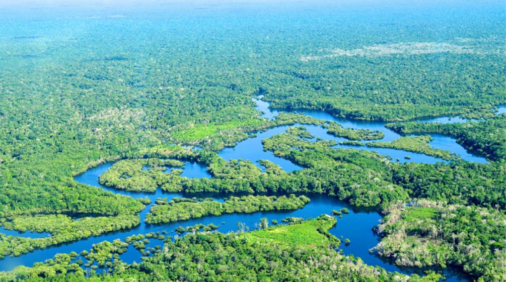 Vista aérea da floresta amazônica